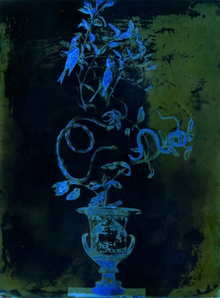 Snakes and Greek Vase